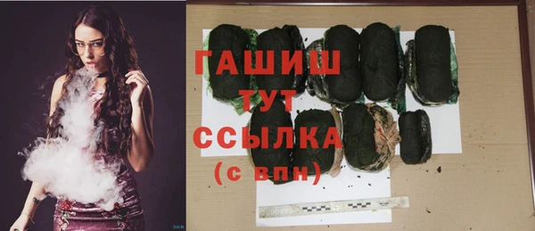 меф Ельня