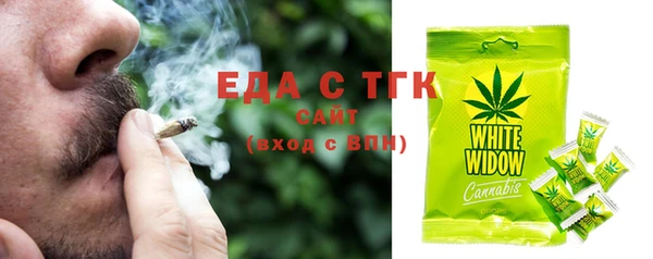меф Ельня
