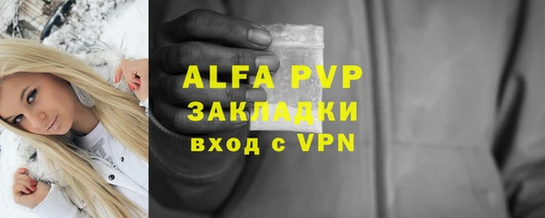 меф Ельня
