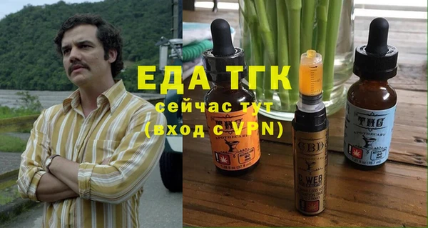 меф Ельня