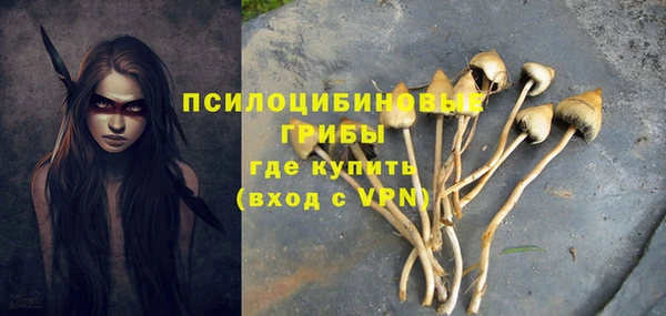 мет Елабуга