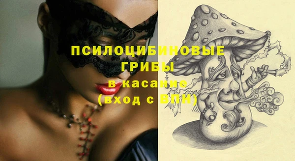 прущие крисы Елизово