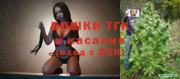 меф Ельня