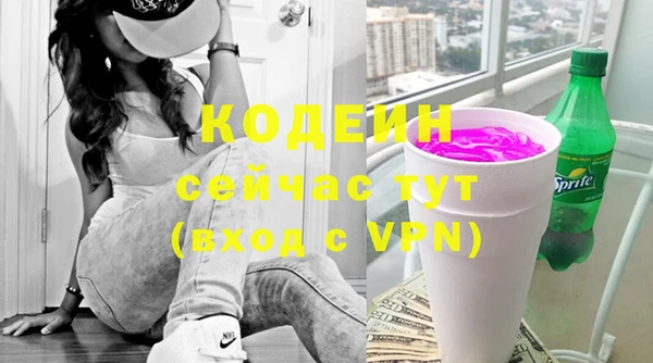 меф Ельня