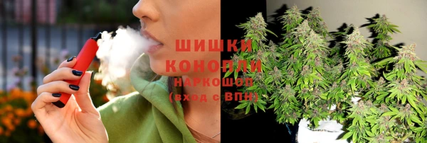 меф Ельня