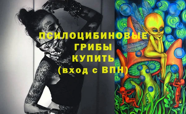 меф Ельня