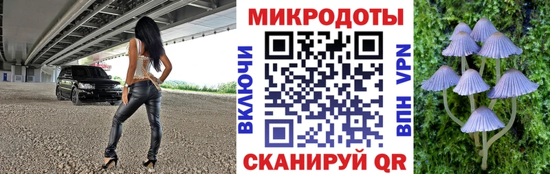 omg маркетплейс закладки Кемь Псилоцибиновые грибы ЛСД